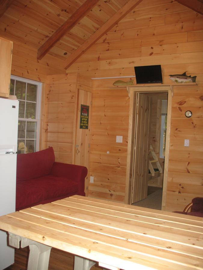 Okie Dokie Cabins Tamworth Buitenkant foto